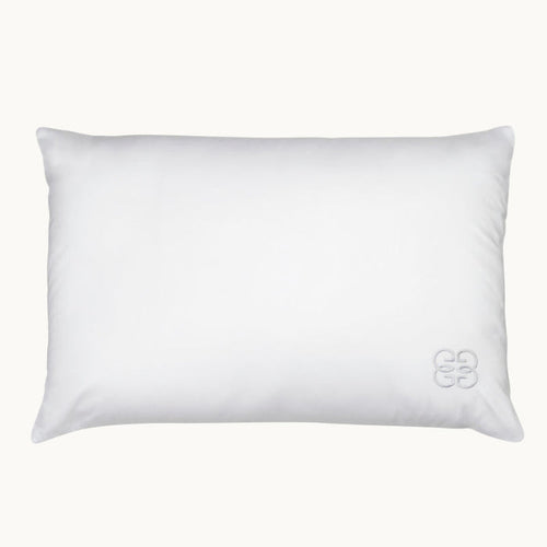 100% Silk Pillow