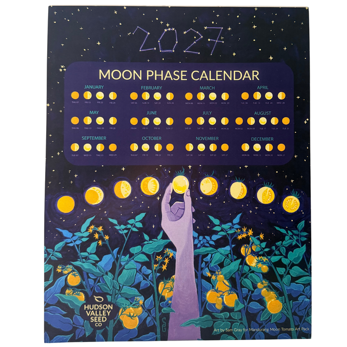 2027 Moon Phase Calendar
