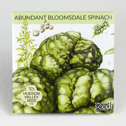 Abundant Bloomsdale Spinach vendor-unknown