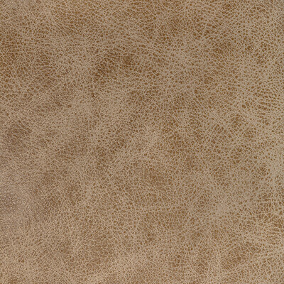 Acorn Trail Fabric