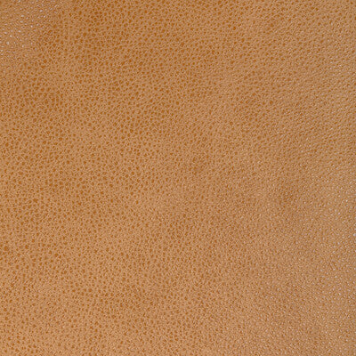 Acorn Trail Fabric