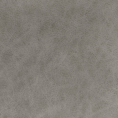 Acorn Trail Fabric