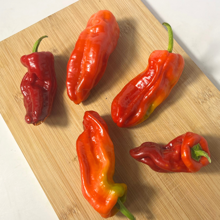 Aleppo Pepper