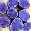 All Blue Potato