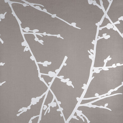 Almendros GDT4849.004.0 Wallpaper