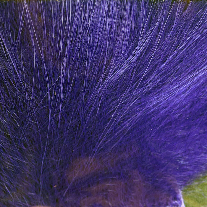 Arctic Fox Body Hair