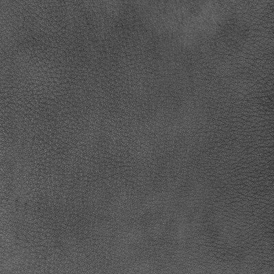 Atika Fabric