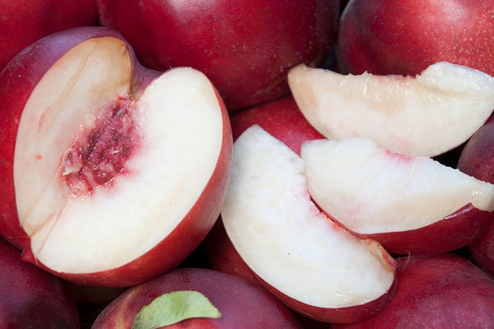 Atomic Red Flowering Nectarine