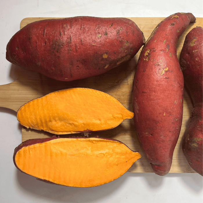 Bayou Belle Sweet Potato Slips