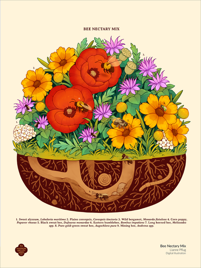 Bee Nectary Mix Fine Art Poster