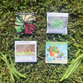 Beginners Veggie Garden Set