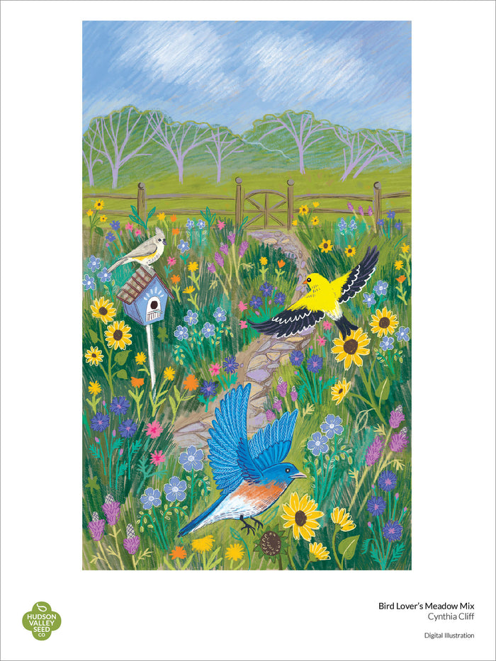 Bird Lover's Meadow Mix Fine Art Poster