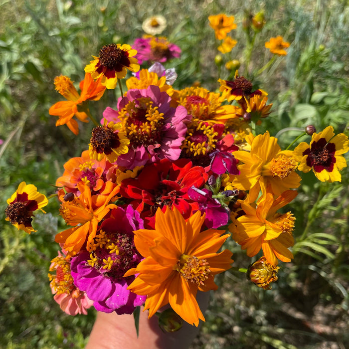 Bird Lover's Meadow Mix Seed Shaker