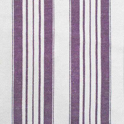 Bisti Velvet Fabric