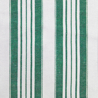 Bisti Velvet Fabric