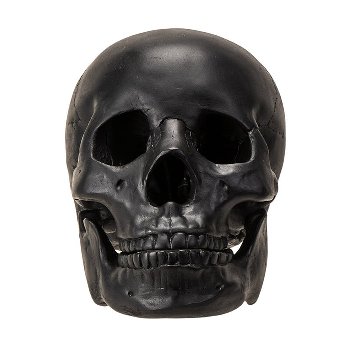 Black Altar Skull | Dark Elegance for Your Ritual Space