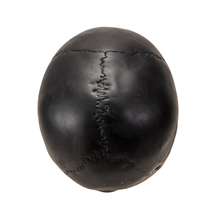 Black Altar Skull | Dark Elegance for Your Ritual Space