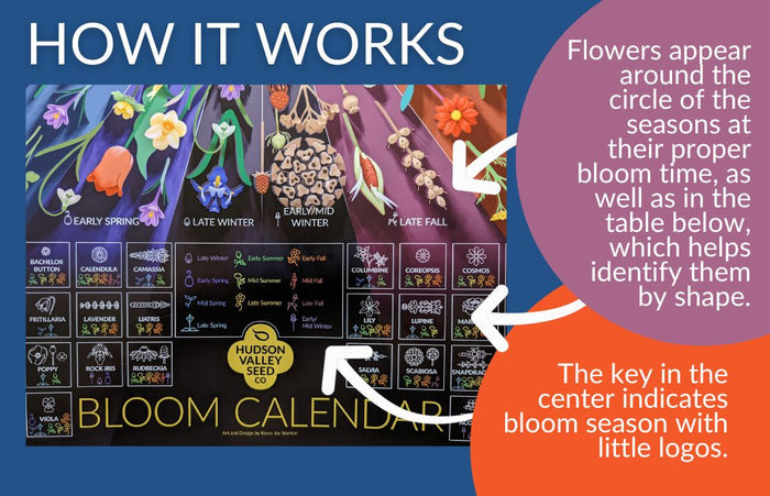 Bloom Calendar Poster