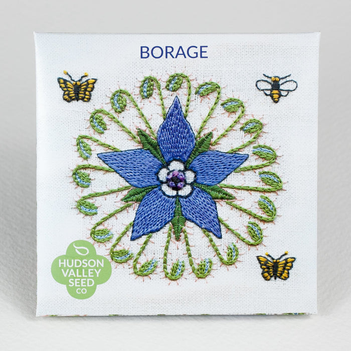 Borage Seedlings