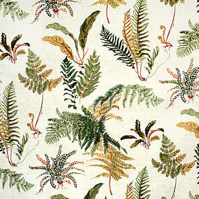Brunschwig & Fils Les Fougeres