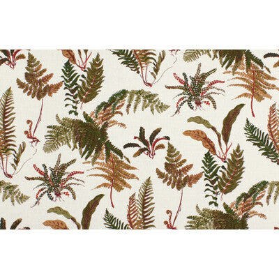 Brunschwig & Fils Les Fougeres