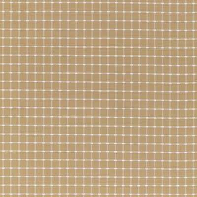 Brunschwig & Fils Lison Check