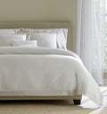 Carlotta Collection
