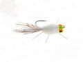 Casa Blanca Crab