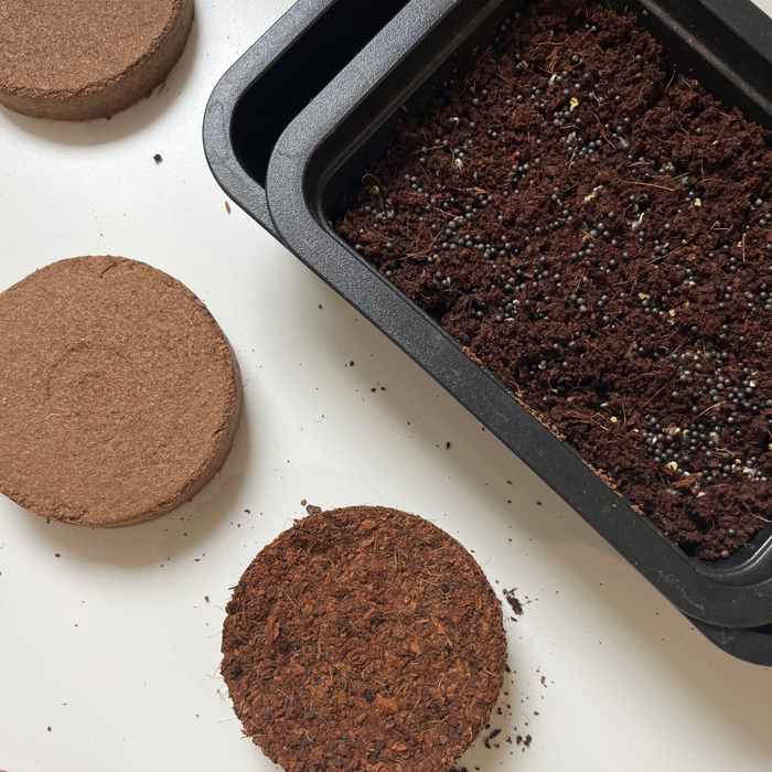 Coir Discs - Set of 12