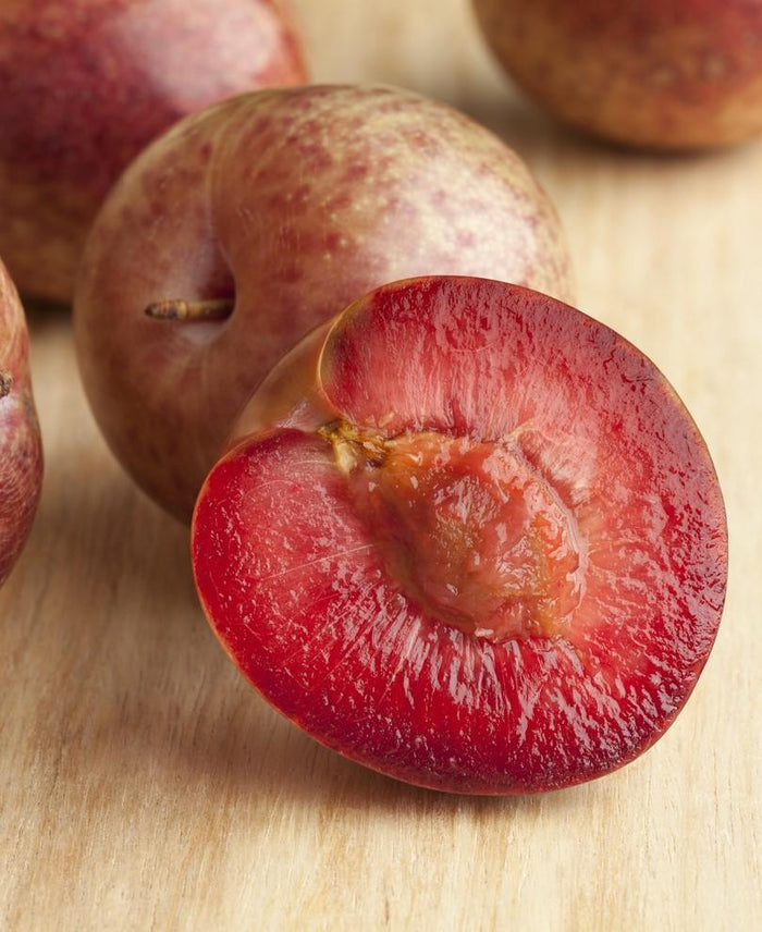 Combo Zee Sweet Pluot Tree (3 varieties) - Raintree Nursery