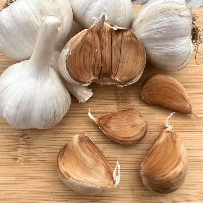Conventional Bloodnick's Carpathian Hardneck Garlic