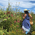 Cottage Garden Mix