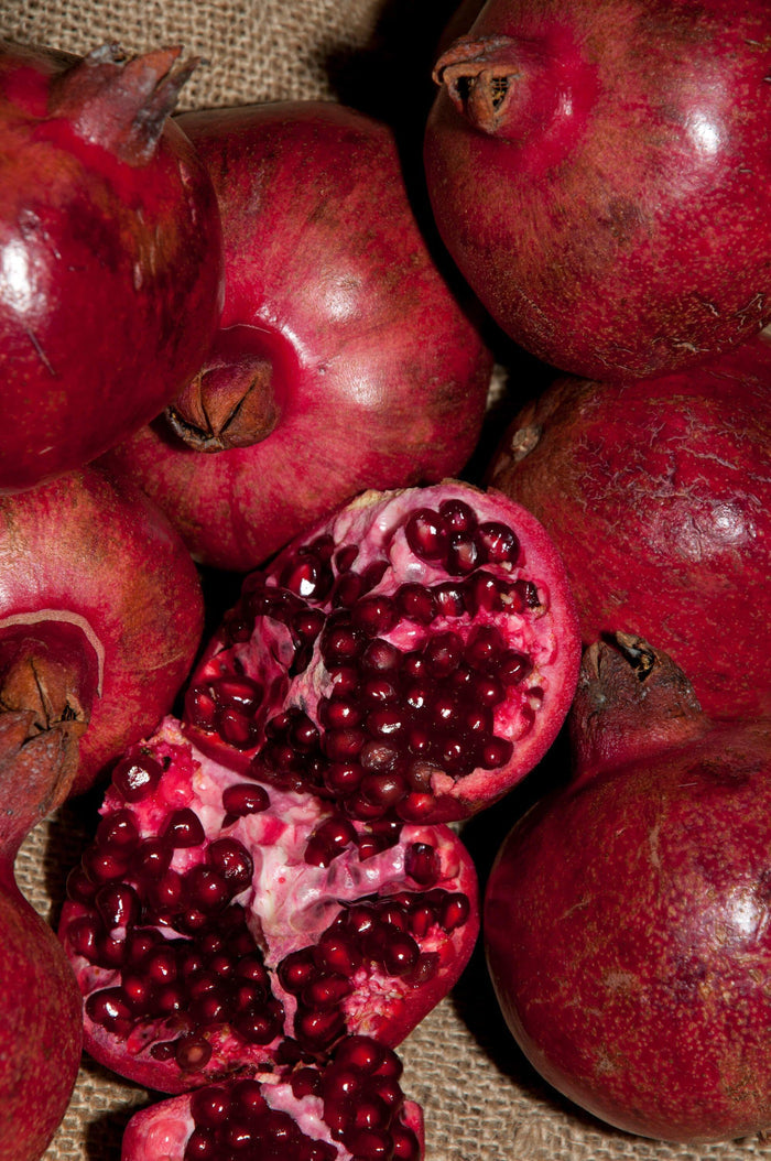 Cranberry Pomegranate-Fruit Trees-Dave Wilson-10" Sleeve-