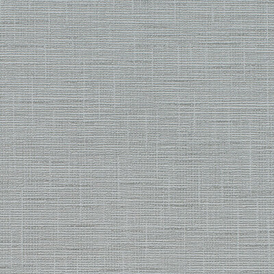 Distinctive Sisals - WDW2412.WT.0 Wallpaper