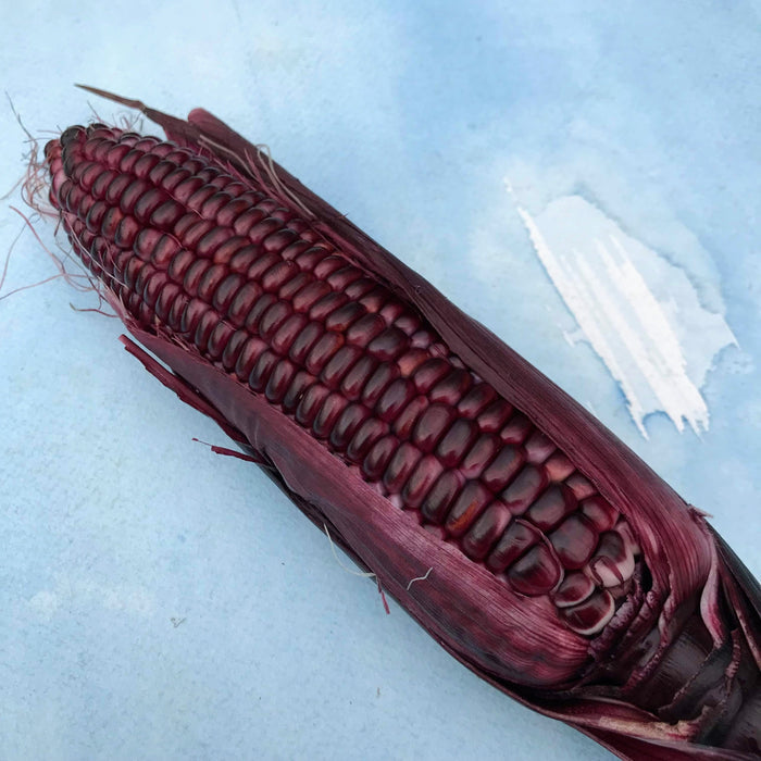 Double Red Sweet Corn vendor-unknown