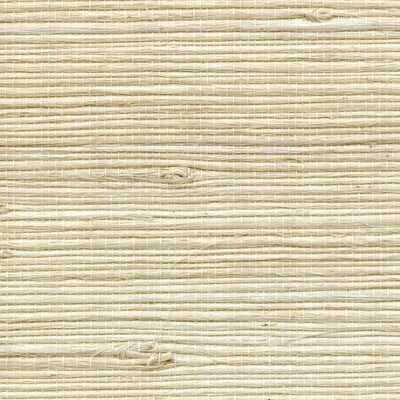 Dovera - WTE6038.WT.0 Wallpaper
