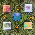 Dye Garden Seed Set