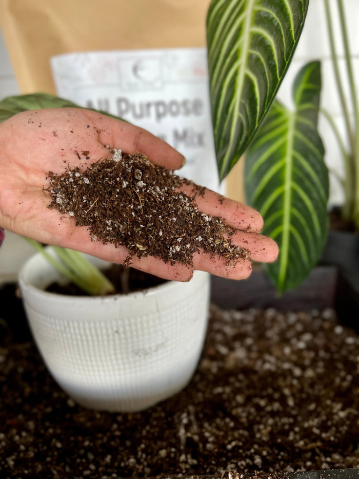 Elm Dirt All-Purpose Potting Mix-Raintree Nursery-