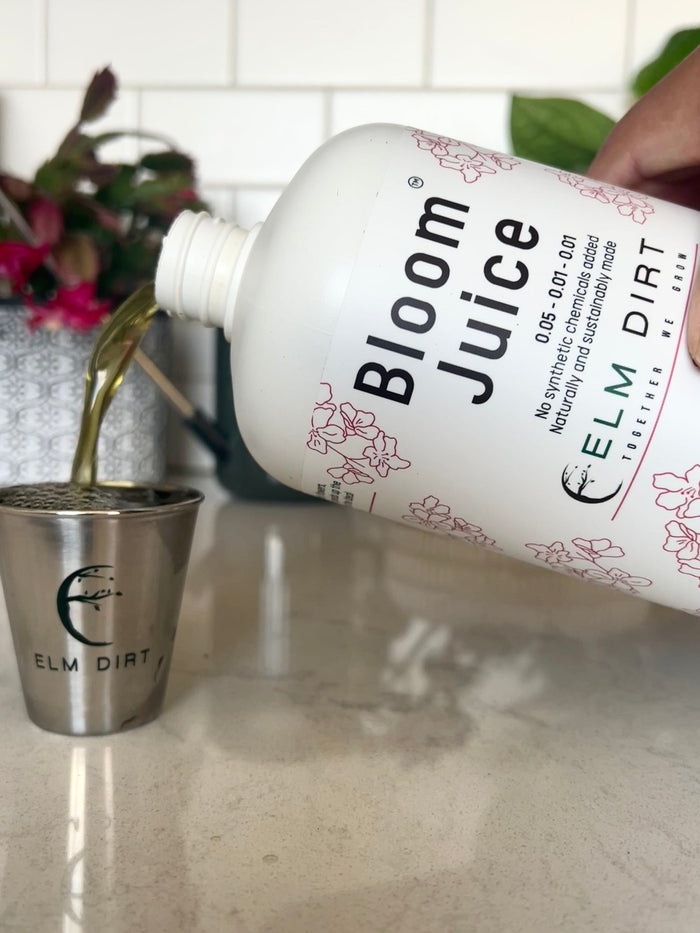 Elm Dirt Bloom Juice-Raintree Nursery-