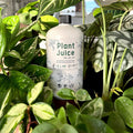 Elm Dirt Plant Juice-Raintree Nursery-