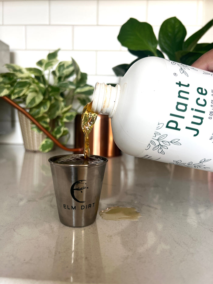Elm Dirt Plant Juice-Raintree Nursery-