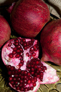 Eve Pomegranate-Fruit Trees-Dave Wilson-10" Sleeve-