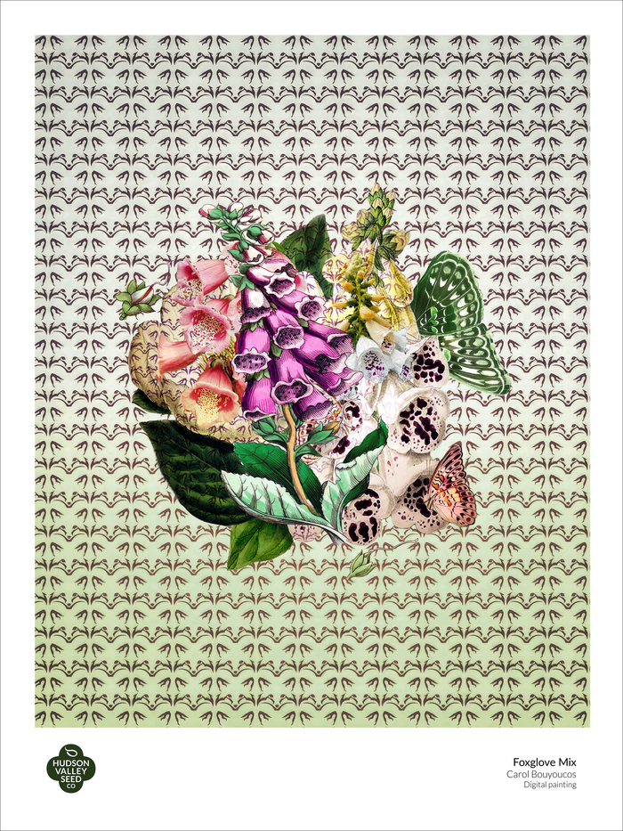 Foxglove Mix Fine Art Poster