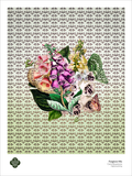 Foxglove Mix Fine Art Poster