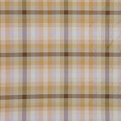 G P & J Baker Ascot Check