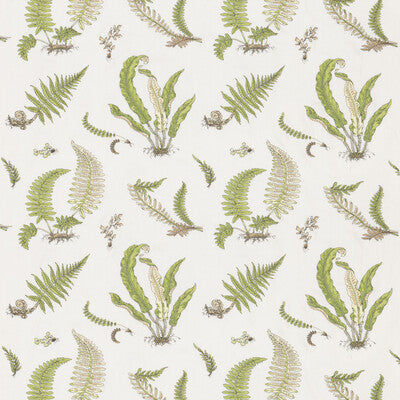 G P & J Baker Ferns Embroidery