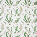 G P & J Baker Ferns Print