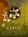 Garlic Planting Guide Poster Hudson Valley Seed Company