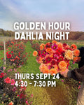 Golden Hour U-Pick Dahlia Night - Sept 24 - 4:30 to 7:30pm