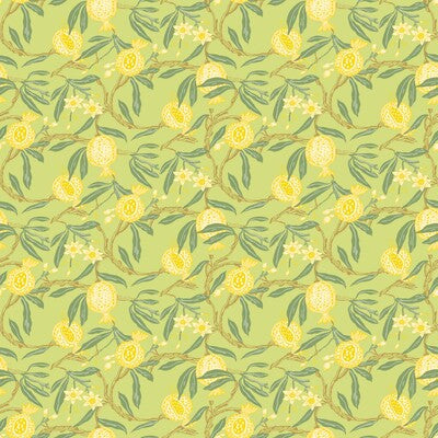 Granadas Wallpaper